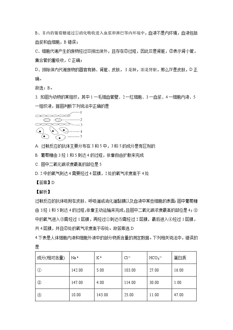 【生物】安徽省合肥市一六八中2019-2020学年高二上学期期中考试试题（解析版）第2页