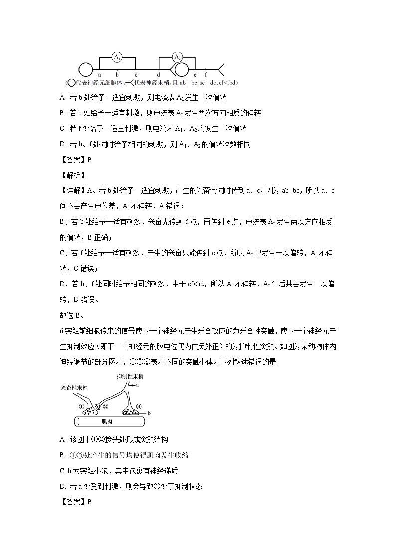 【生物】安徽省宣城市七校2019-2020学年高二上学期期中考试试题（解析版）03