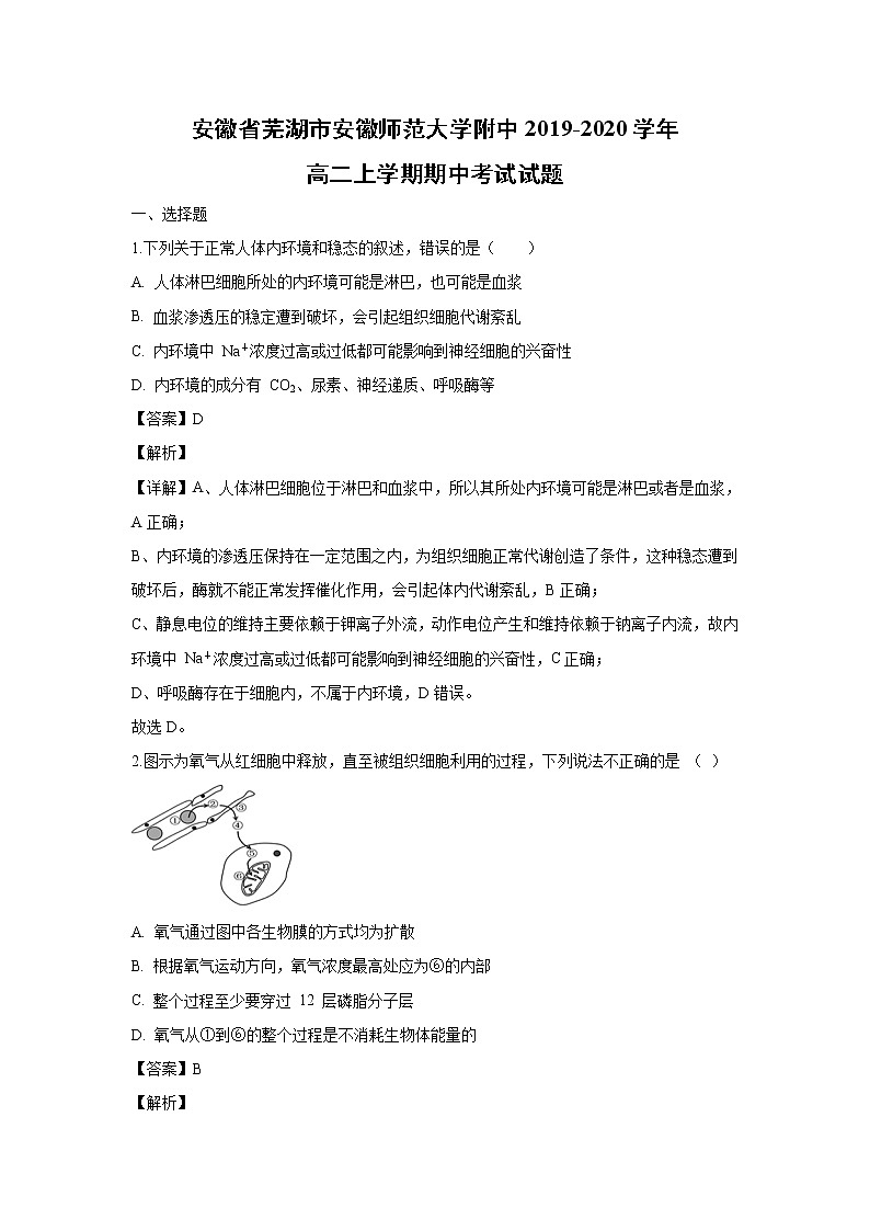 【生物】安徽省芜湖市安徽师范大学附中2019-2020学年高二上学期期中考试试题（解析版）01