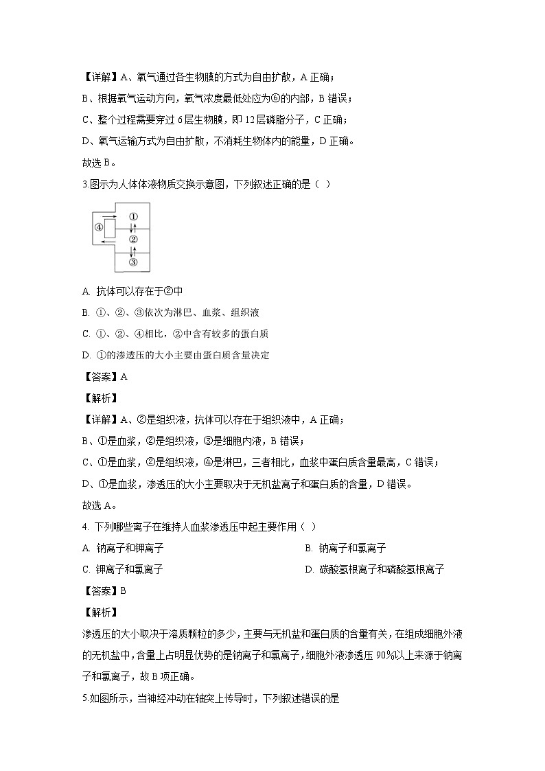 【生物】安徽省芜湖市安徽师范大学附中2019-2020学年高二上学期期中考试试题（解析版）02
