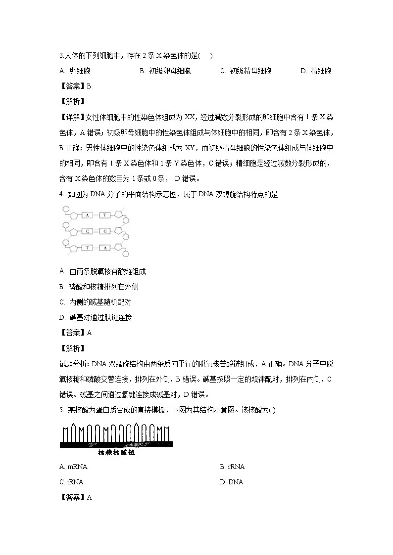 【生物】广东省佛山市一中2019-2020学年高二上学期期中考试试题（学考）（解析版）02