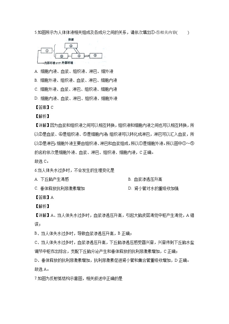 【生物】河北省邯郸市六校2019-2020学年高二上学期期中考试试题（解析版）03