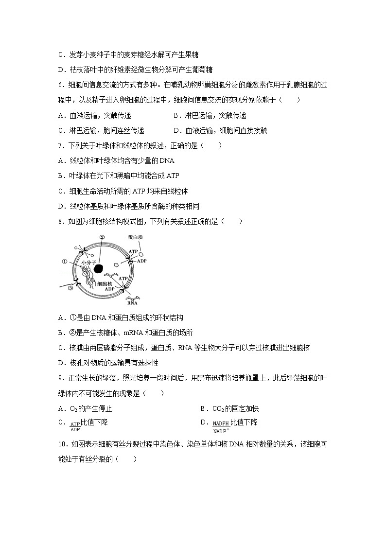 【生物】广西百色市田阳县高级中学2019-2020学年高二上学期期中考试试卷02