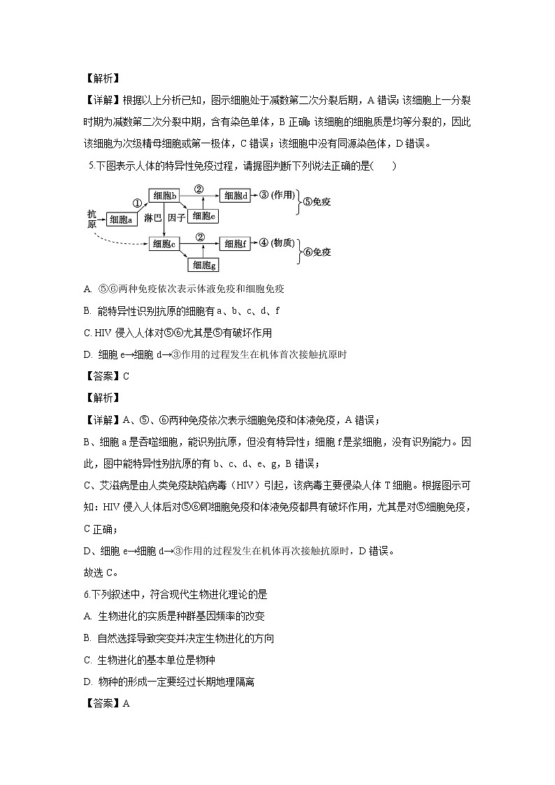 【生物】河北省衡水市武邑中学2019-2020学年高二上学期期中考试试题（解析版）03