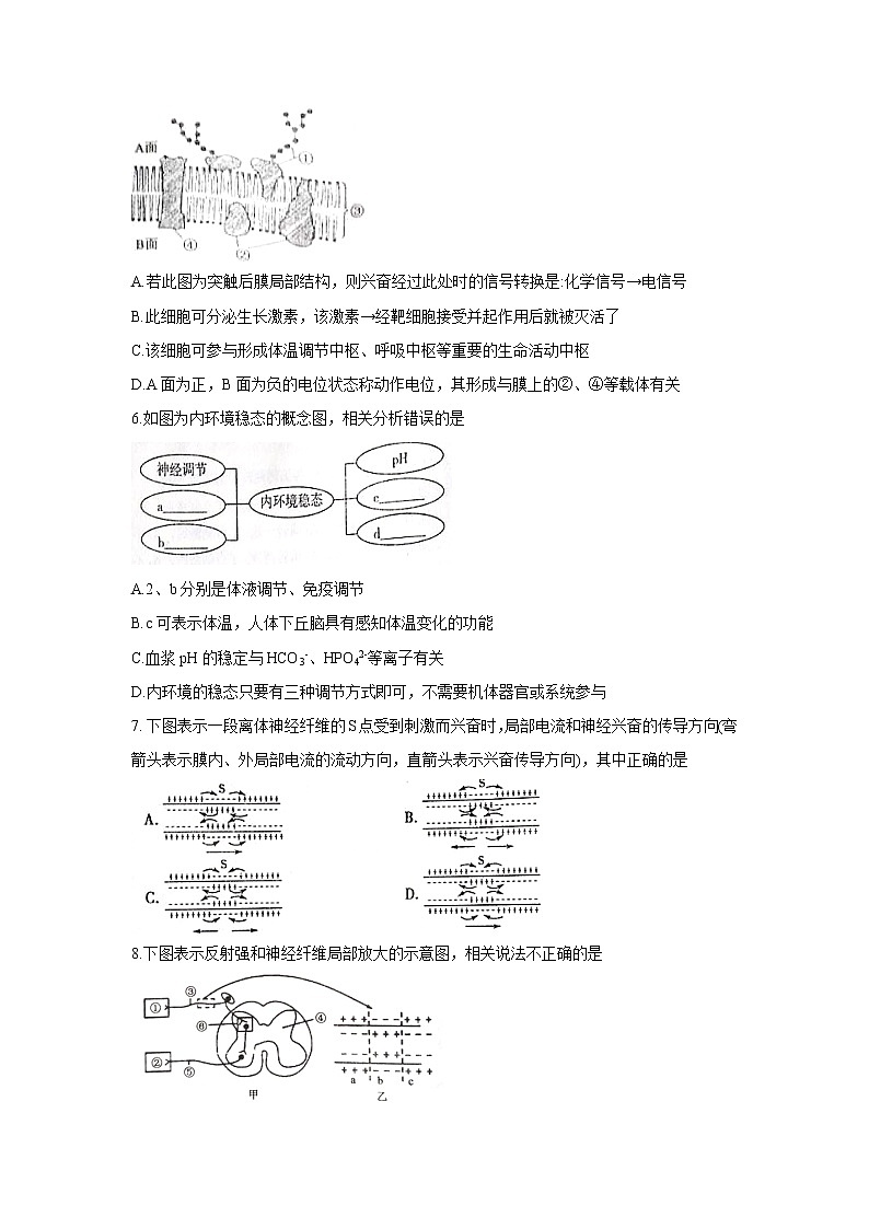 【生物】河南省南阳市2019-2020学年高二上学期期中质量评估 试卷02