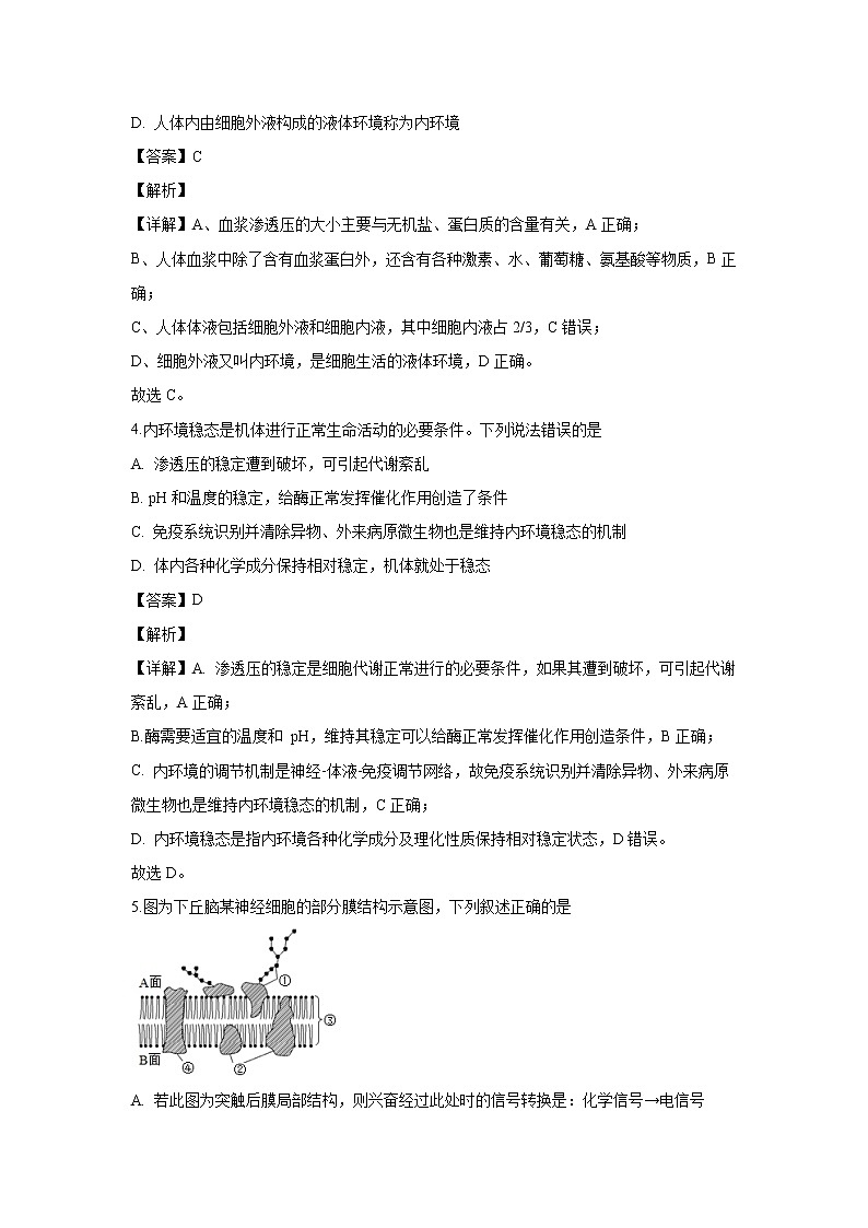 【生物】河南省南阳市2019-2020学年高二上学期期中考试试题（解析版）02