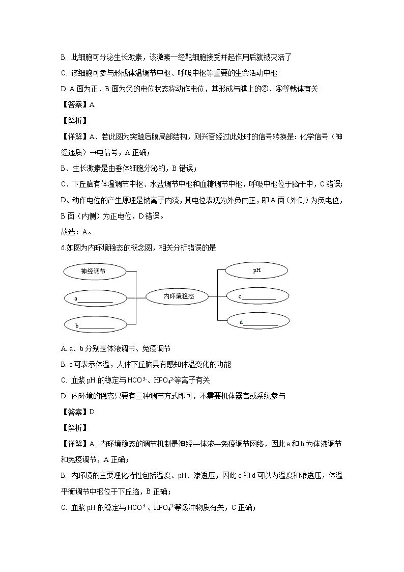 【生物】河南省南阳市2019-2020学年高二上学期期中考试试题（解析版）03