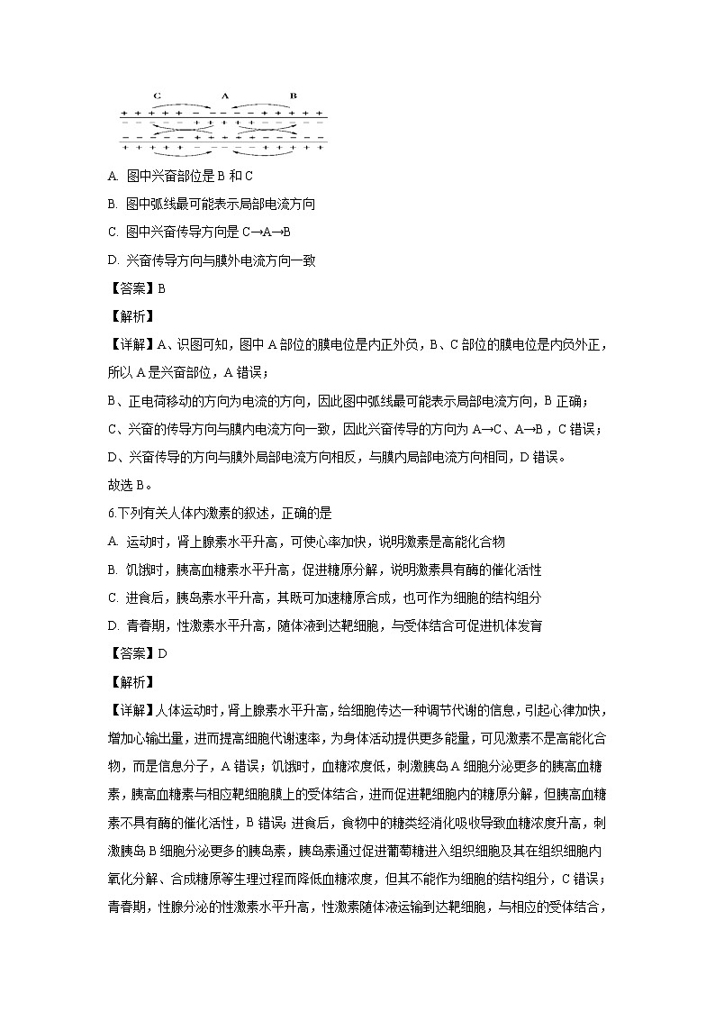 【生物】黑龙江省大庆市铁人中学2019-2020学年高二上学期期中考试试题（解析版）03