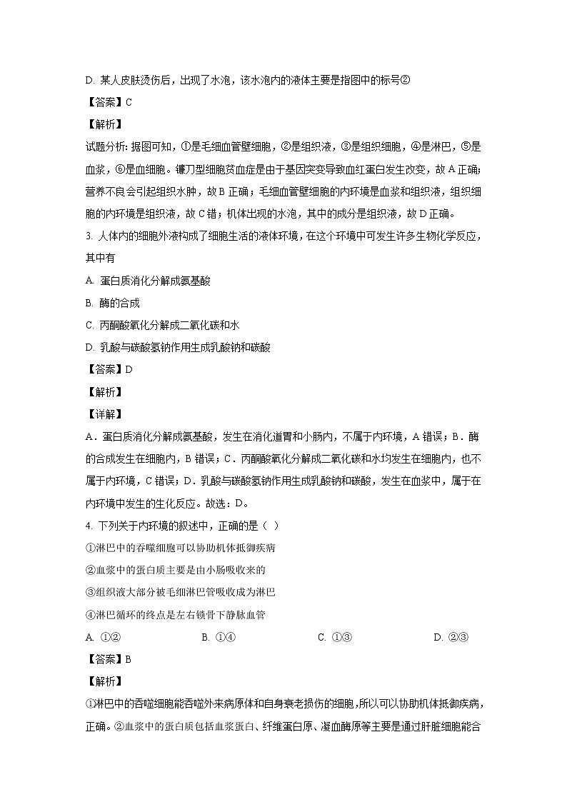 【生物】黑龙江省哈尔滨师大附中2019-2020学年高二上学期期中考试试题（解析版）02