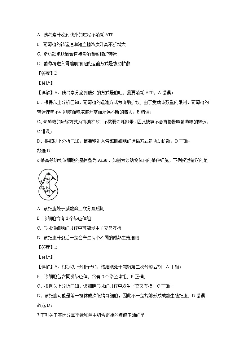【生物】湖北省重点高中联考协作体2019-2020学年高二上学期期中考试试题（解析版）03