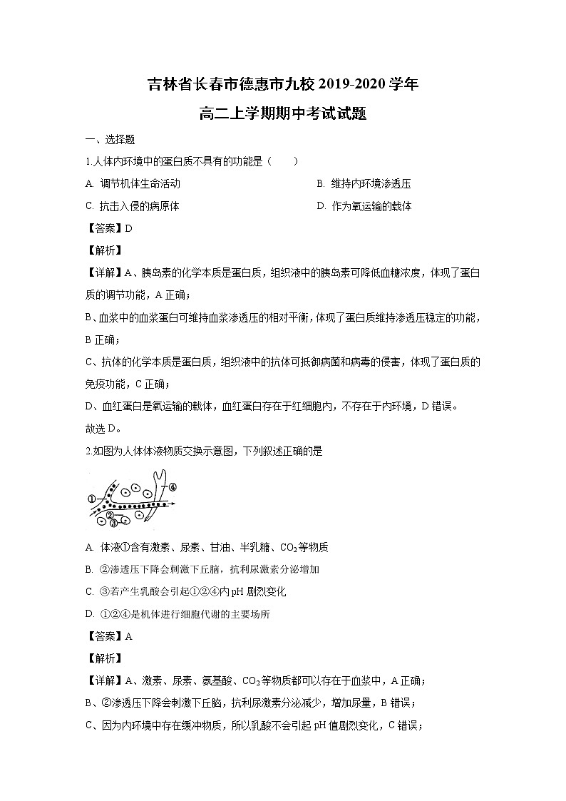 【生物】吉林省长春市德惠市九校2019-2020学年高二上学期期中考试试题（解析版）01