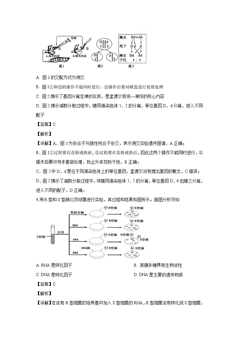 【生物】江西省上饶中学2019-2020学年高二上学期期中考试试题（理科实验、重点班）（解析版）02