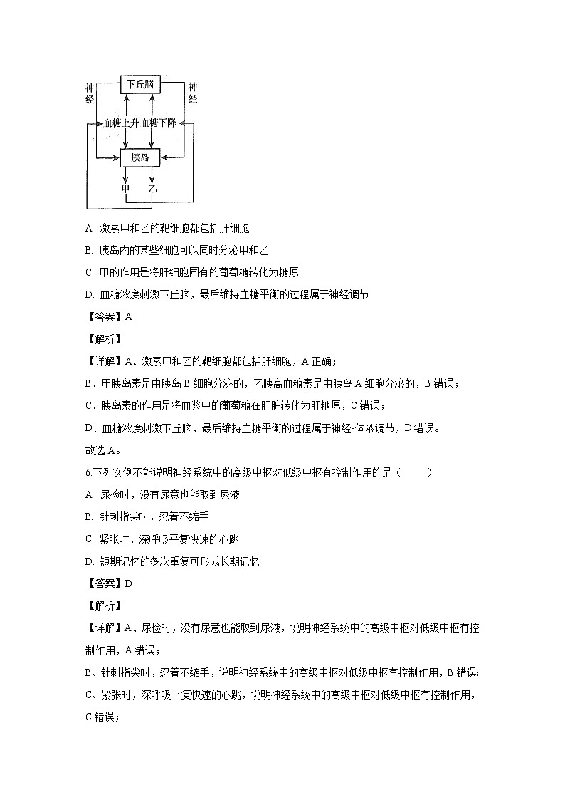 【生物】山东省临沂市沂水县、平邑县2019-2020学年高二上学期期中考试联考试题（解析版）03