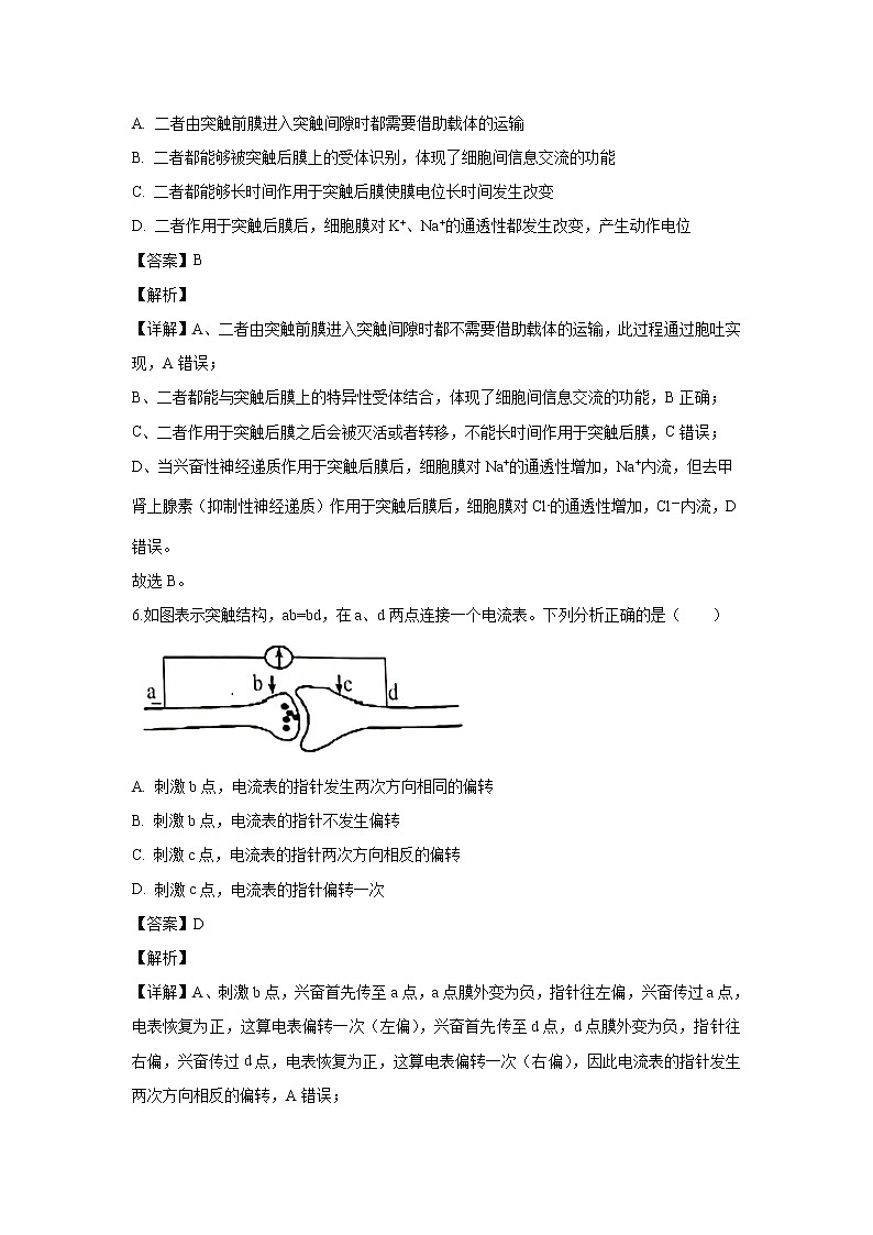 【生物】山东省济宁市微山县2019-2020学年高二上学期期中考试试题（解析版）03