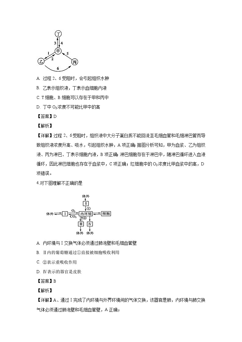 【生物】辽宁省六校协作体2019-2020学年高二上学期期中考试试题（解析版）第2页