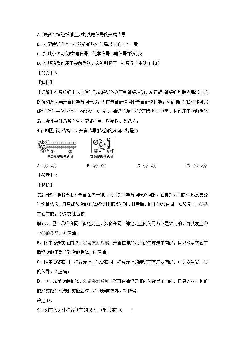 【生物】山东泰安肥城市2018-2019学年高二上学期期中考试试题（解析版）02