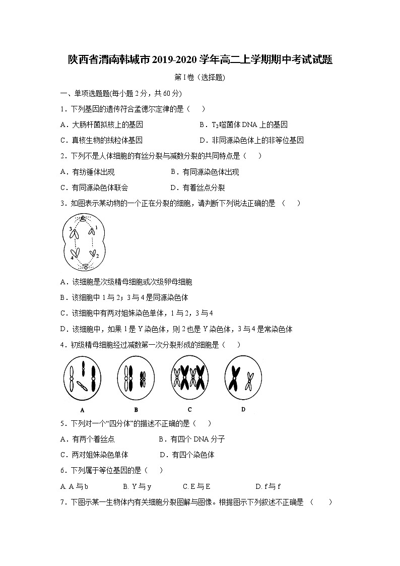 【生物】陕西省渭南韩城市2019-2020学年高二上学期期中考试试题01