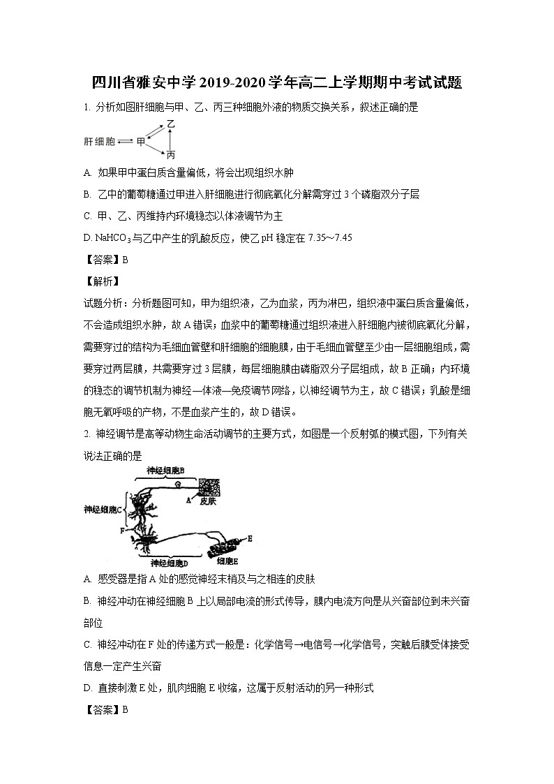 【生物】四川省雅安中学2019-2020学年高二上学期期中考试试题（解析版）(1)01