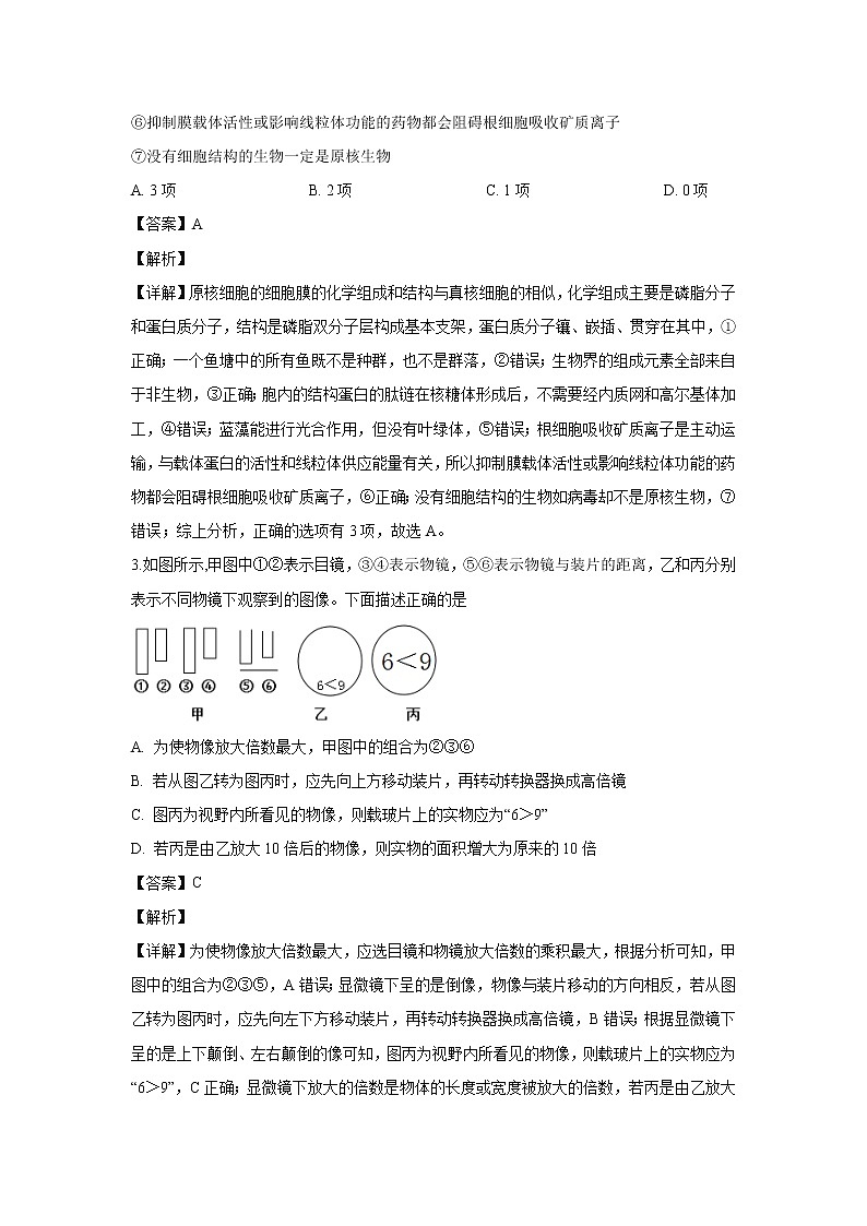 【生物】宁夏石嘴山市三中2019-2020学年高二上学期期中考试试题（解析版）02
