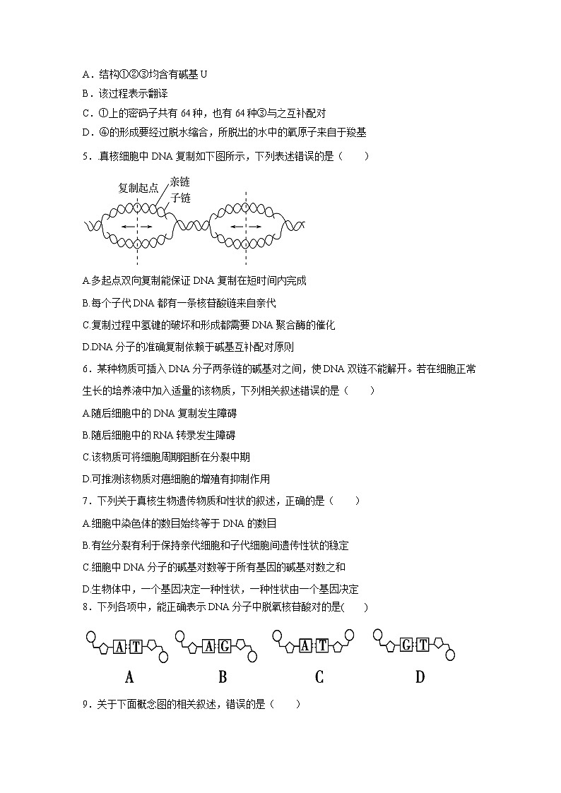 【生物】甘肃省武威市第十八中学2019-2020学年高二上学期期末考试试题02