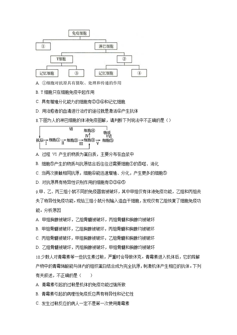 【生物】海南省海南枫叶国际学校2019-2020学年高二上学期期末考试试题第3页