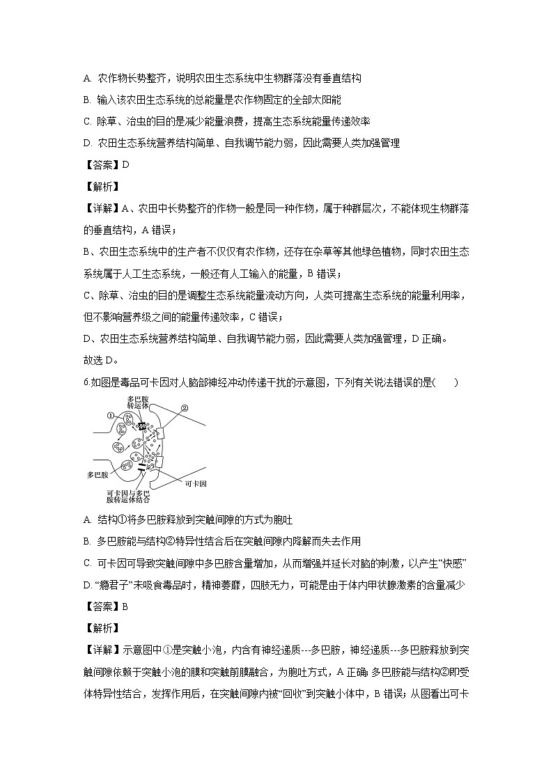 【生物】黑龙江省鹤岗市一中2019-2020学年高二上学期期末考试试题（解析版）03
