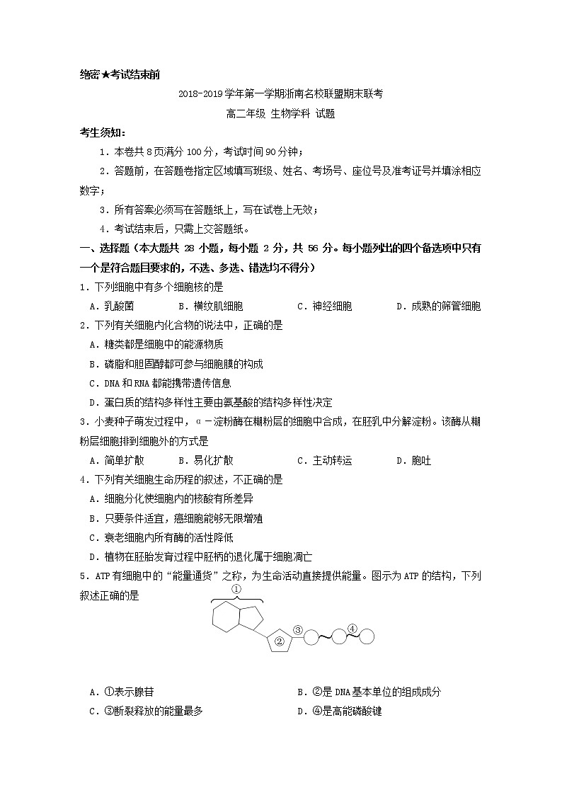 2018-2019学年浙江省浙南名校联盟高二上学期期末联考生物试题 Word版01