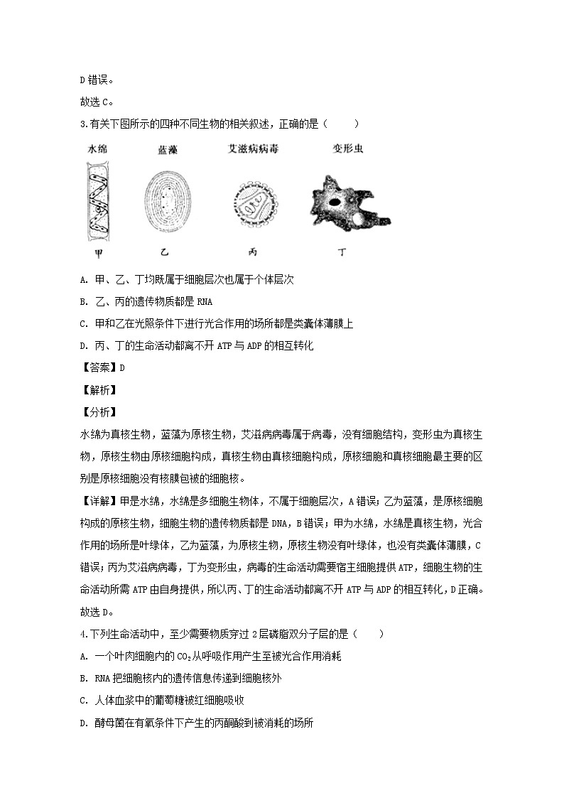 2018-2019学年重庆市巴蜀中学校高二上学期期末考试生物试题 解析版第2页