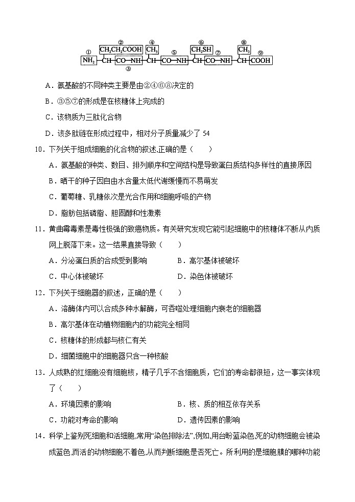 2018-2019学年重庆市江津、合川等七校高二上学期期末考试生物试题 Word版第3页