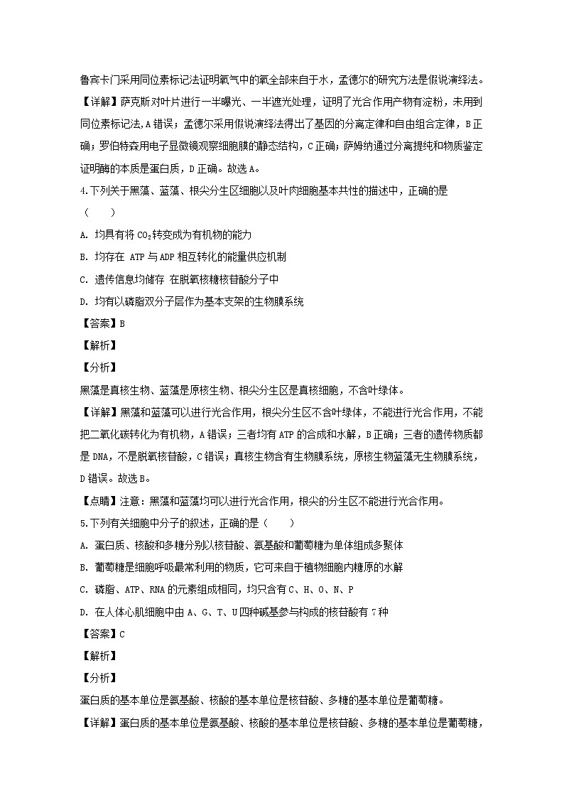 2018-2019学年重庆市第一中学校高二上学期期末考试生物试题 解析版第2页