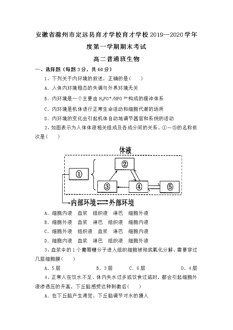 2019-2020学年安徽省滁州市定远县育才学校高二（普通班）上学期期末考试生物试题 Word版01