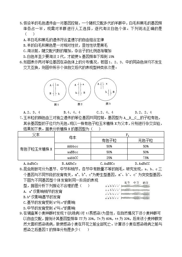 2019-2020学年安徽省安庆二中高二上学期期末考试生物试题 Word版02