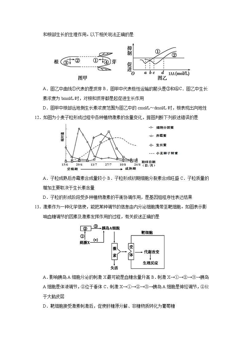 2019-2020学年甘肃省临泽一中高二上学期期末模拟生物试题 word版03