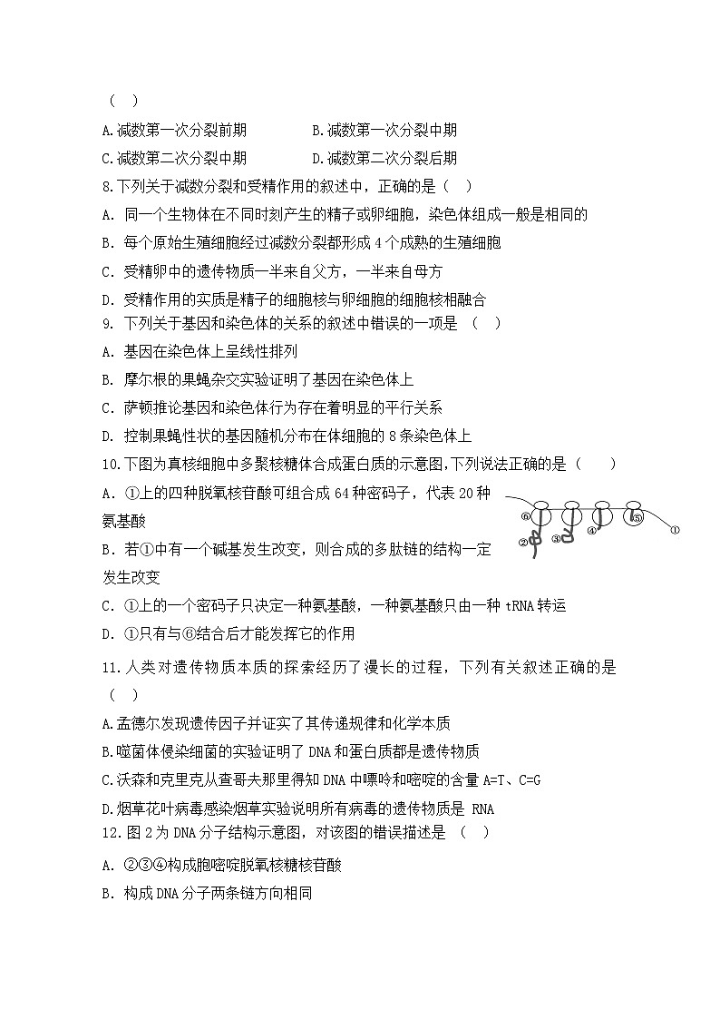 2019-2020学年甘肃省白银市会宁县第四中学高二上学期期末期末考试生物试题 Word版03