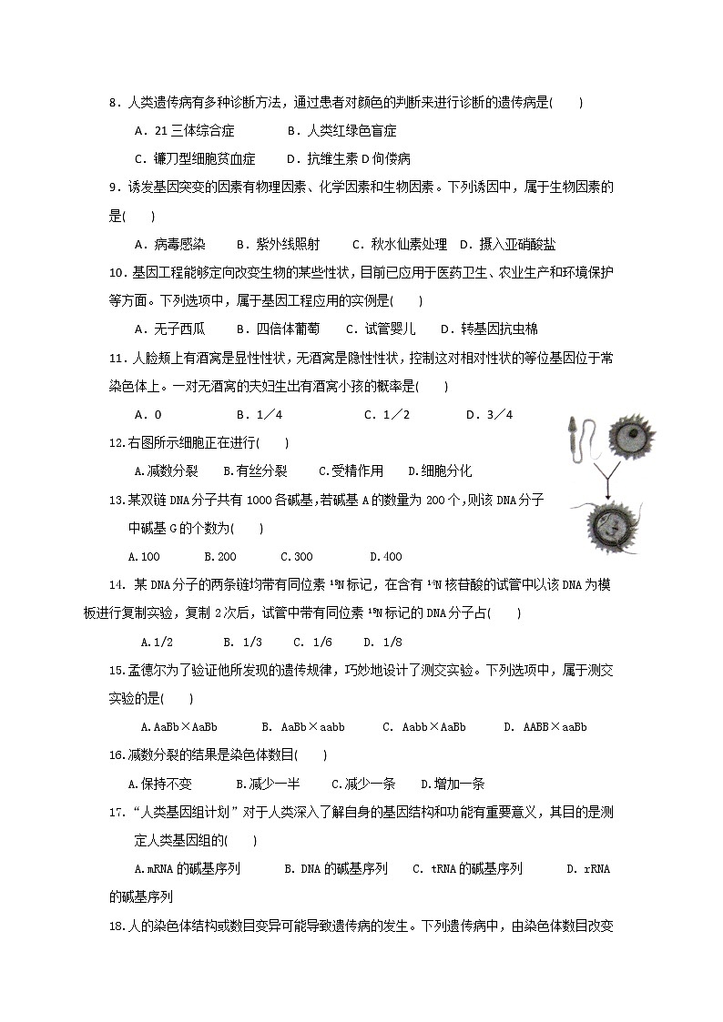 2019-2020学年甘肃省会宁县第一中学高二上学期期末考试生物（文）试题 Word版02