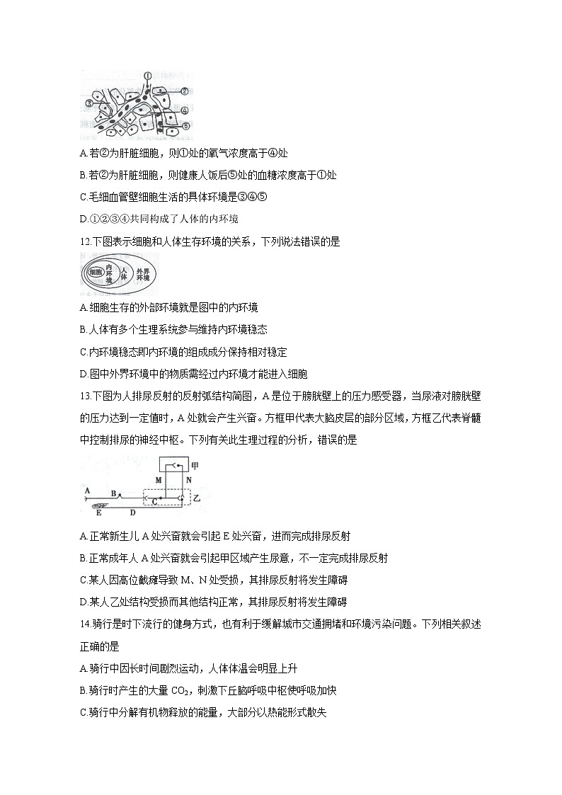 2019-2020学年广东省珠海市高二上学期期末考试 生物 Word版03
