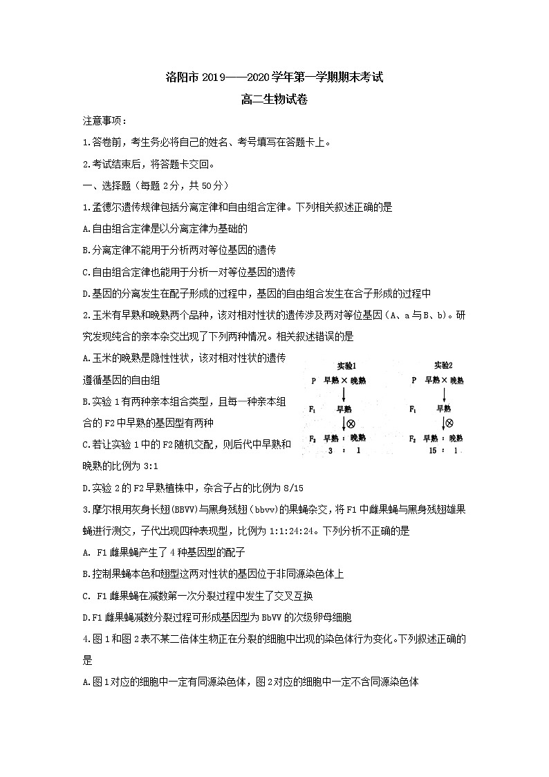 2019-2020学年河南省洛阳市高二上学期期末考试  生物  （Word版）01