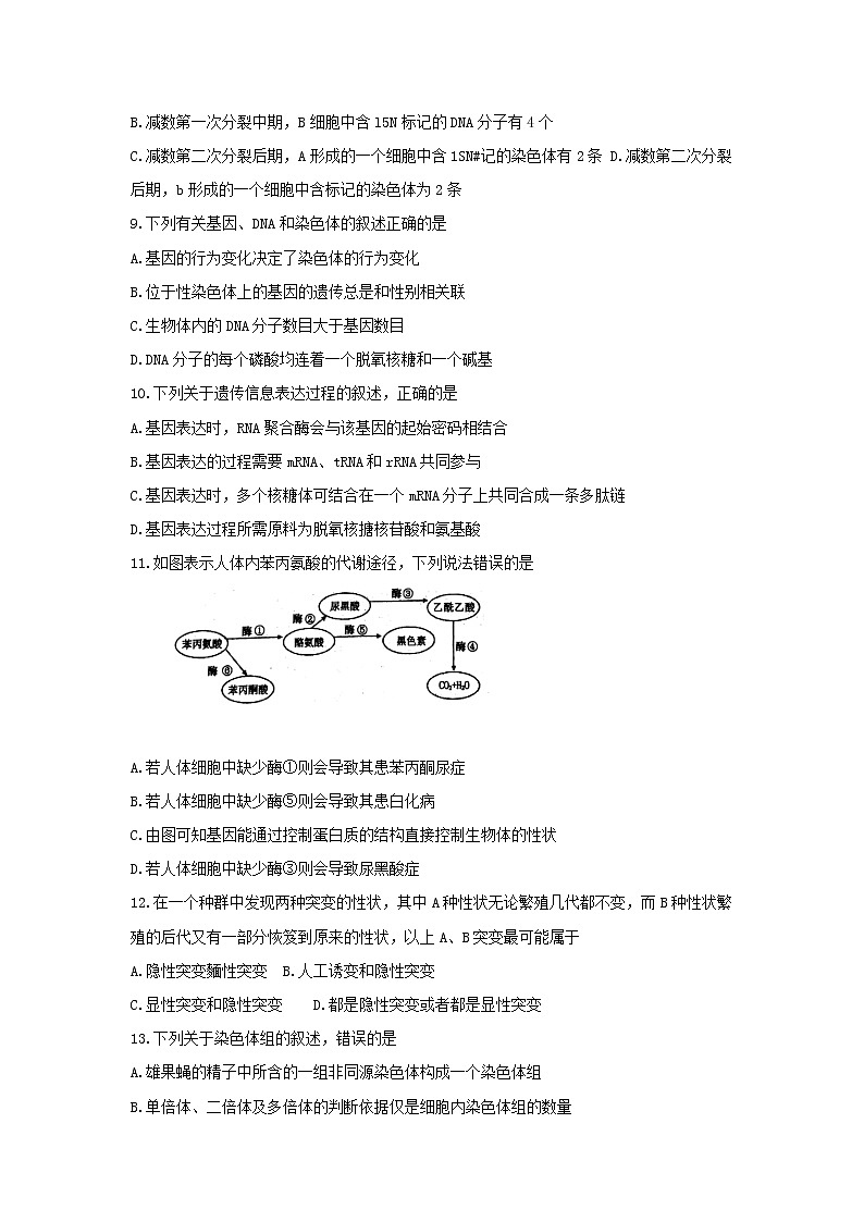 2019-2020学年河南省洛阳市高二上学期期末考试  生物  （Word版）03