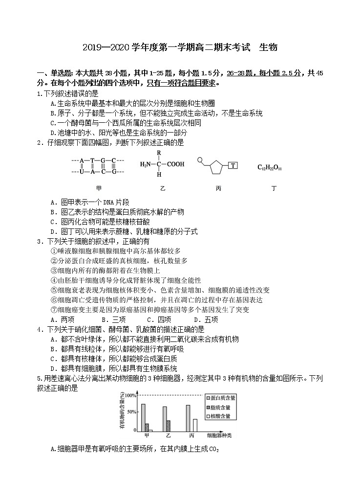 2019-2020学年广东省汕头市金山中学高二上学期期末考试 生物 word版01