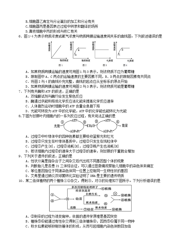 2019-2020学年广东省汕头市金山中学高二上学期期末考试 生物 word版02