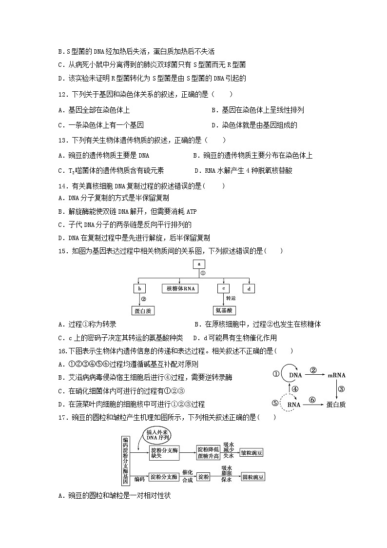 2019-2020学年黑龙江省哈尔滨市第六中学高二上学期期末考试生物试题 Word版03