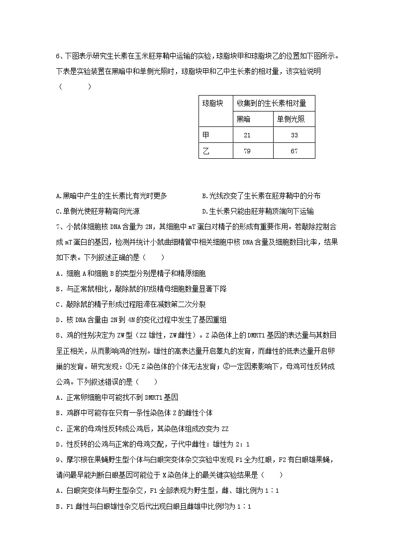 2019-2020学年江西省高安中学高二上学期期末考试生物试题 word版02