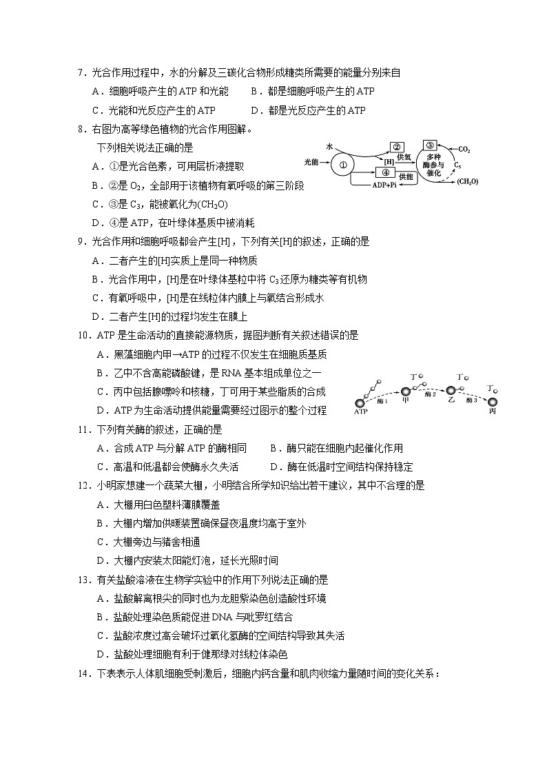 2019-2020学年宁夏银川一中高二上学期期末考试生物试题 Word版02