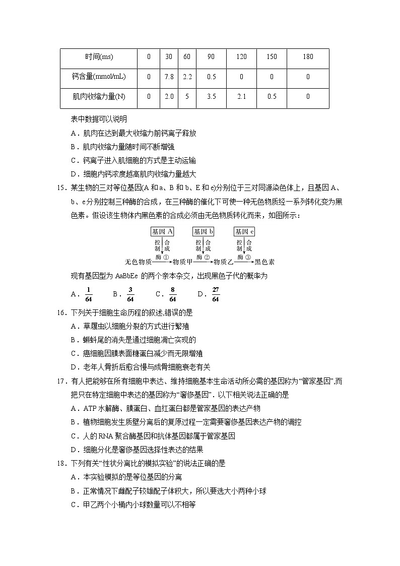 2019-2020学年宁夏银川一中高二上学期期末考试生物试题 Word版03