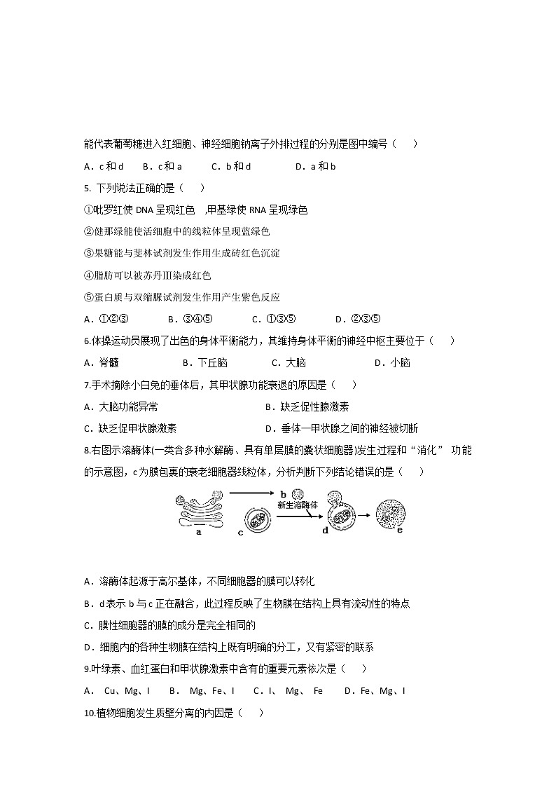 2019-2020学年青海省西宁市第十四中学高二上学期期末考试生物试题 Word版02