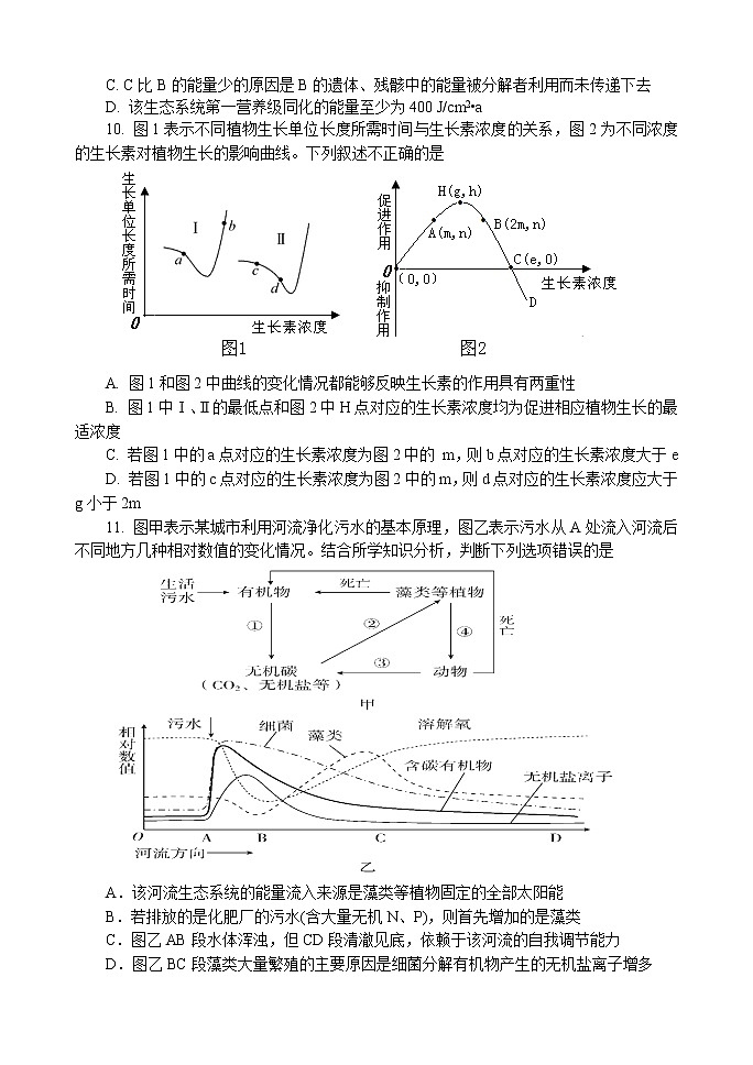 2019-2020学年山东省临沂市罗庄区高二上学期期末考试生物试题 Word版03