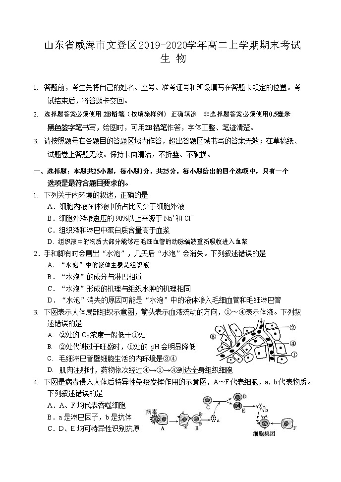 2019-2020学年山东省威海市文登区高二上学期期末考试生物试题 （word版）第1页