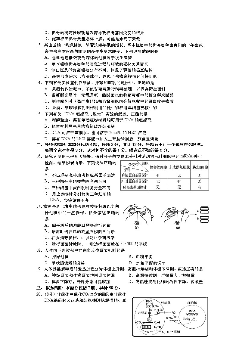 2019-2020学年江苏省如皋中学高二上学期期末教学质量调研生物试题 Word版03