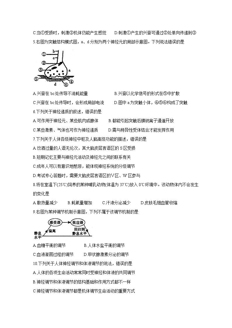 2019-2020学年四川省内江市高二上学期期末检测 生物 word版02