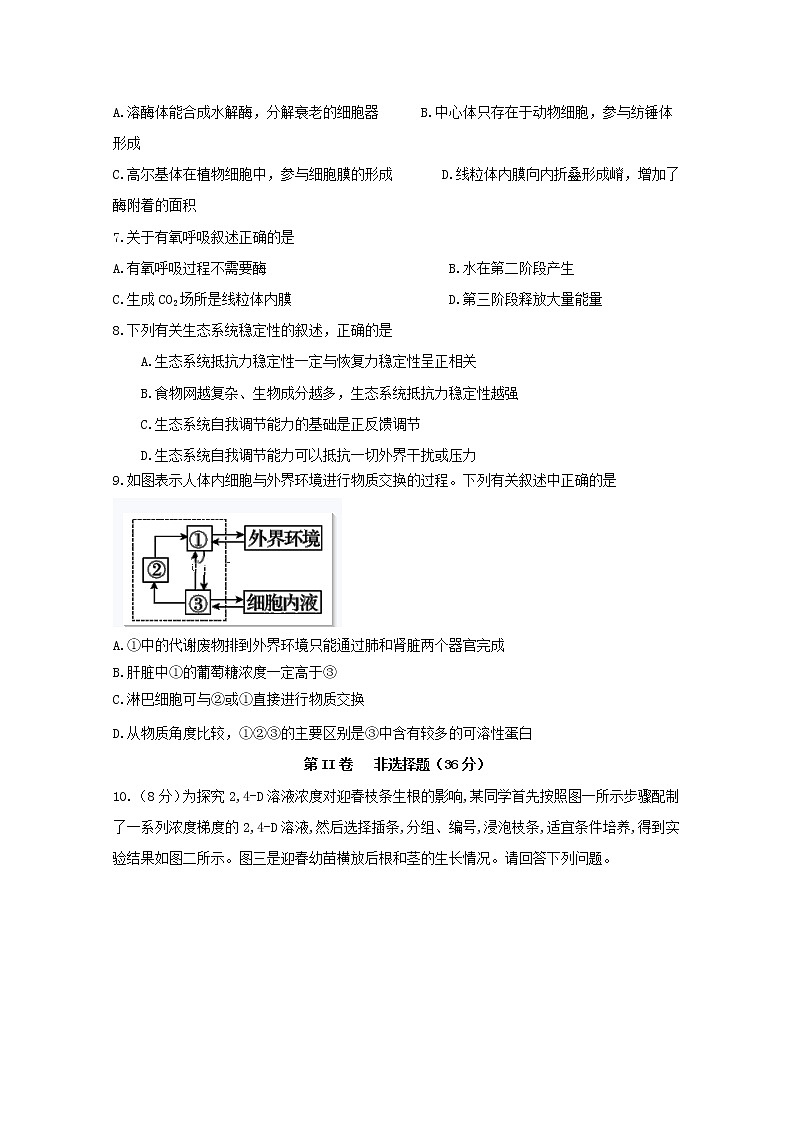 2019-2020学年四川省宜宾市第四中学高二上学期期末模拟考试生物试题 Word版02